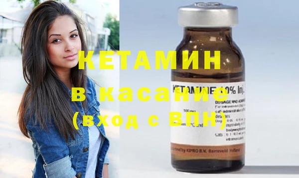 сатива Абинск