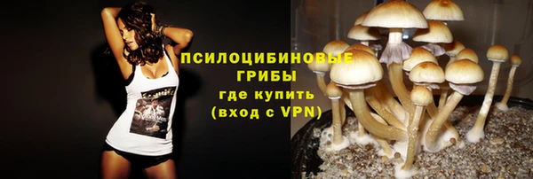 сатива Абинск