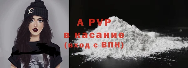 сатива Абинск