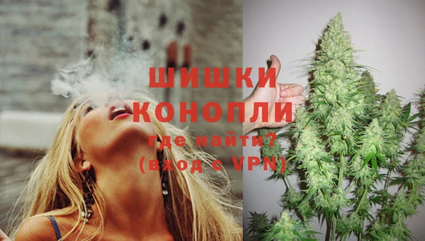 сатива Абинск