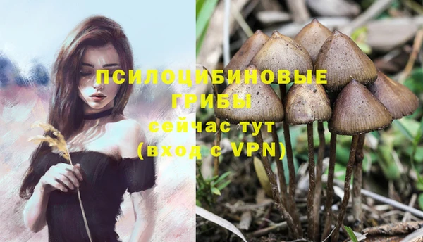 таблы Абаза